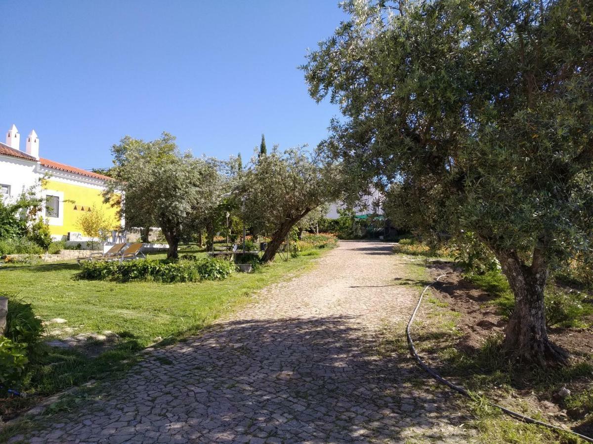 Casa Da Paleta Vendégház Castelo de Vide Kültér fotó