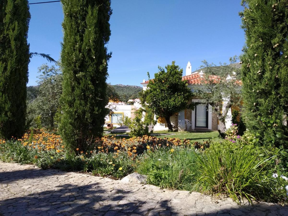 Casa Da Paleta Vendégház Castelo de Vide Kültér fotó