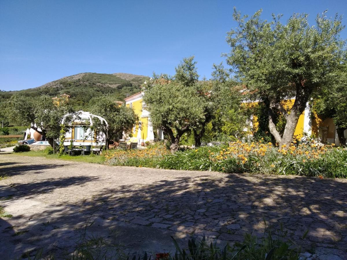 Casa Da Paleta Vendégház Castelo de Vide Kültér fotó