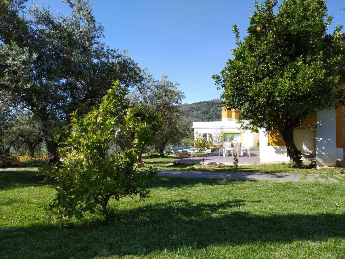 Casa Da Paleta Vendégház Castelo de Vide Kültér fotó